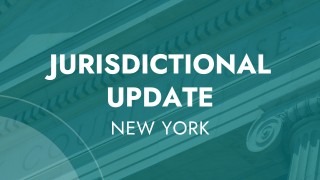 New York - LLC BOI Filings thumbnail